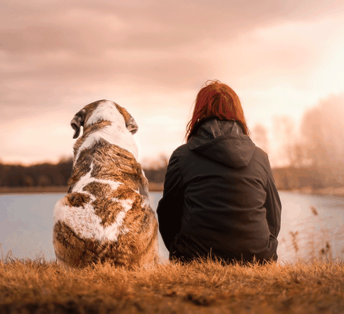 5 пород собак для содержания в квартире