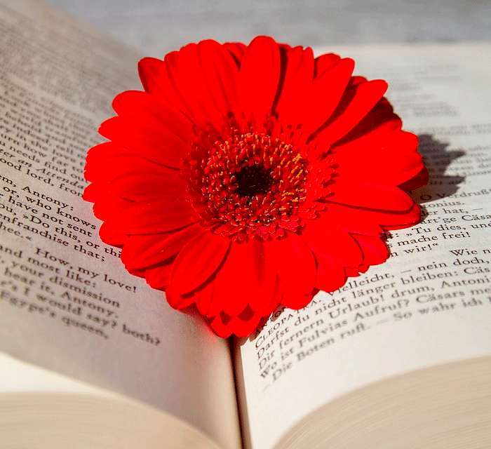 вы сможете читать любимые произведения так, как их задумывал автор