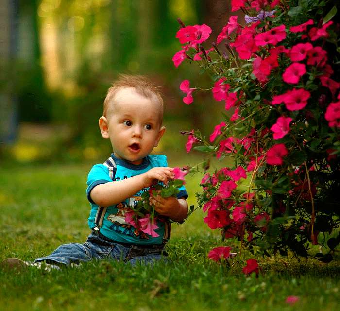 дети по сути своей абсолютно безобидны дети по сути своей абсолютно безобидны