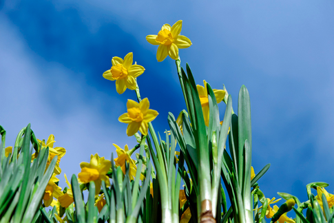 Апрель — время нестабильности