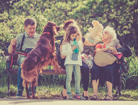 Правила безопасности: как избежать укуса клеща