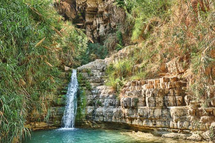 Национальный парк Ein Gedi славится своей чистейшей водой. Дословно его название переводится как «источник коз»