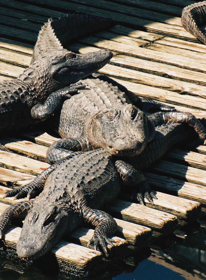 рискнете поплавать в таком озере? рискнете поплавать в таком озере?