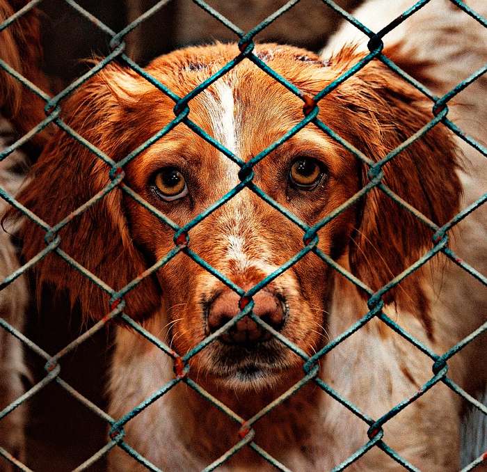 помогайте тем, кто в этом нуждается