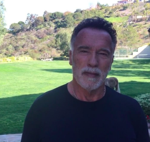 Арнольд Шварценеггер стал жертвой нападения