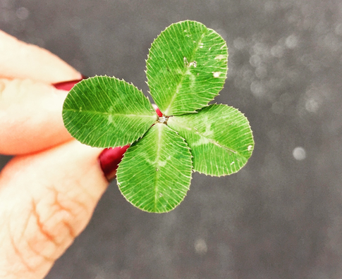 Топ−5 самых везучих знаков Зодиака июля