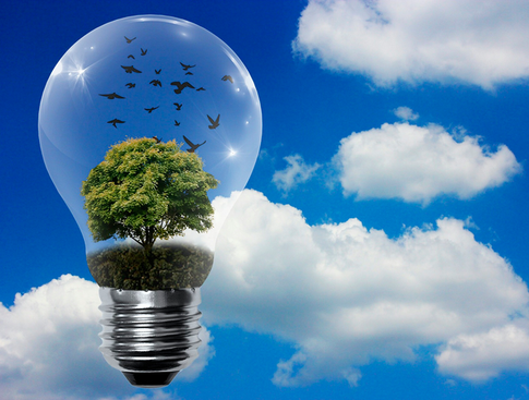 С заботой о планете: 7 способов минимизировать потребление пластика