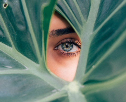 На веки ваши: крем, маска, сыворотка и лосьон