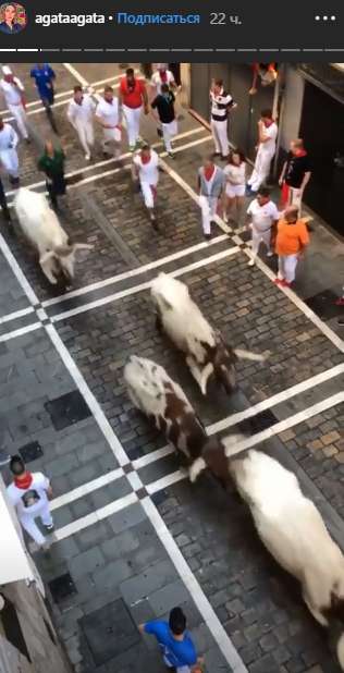 Знаменитая испанская забава – забеге с быками