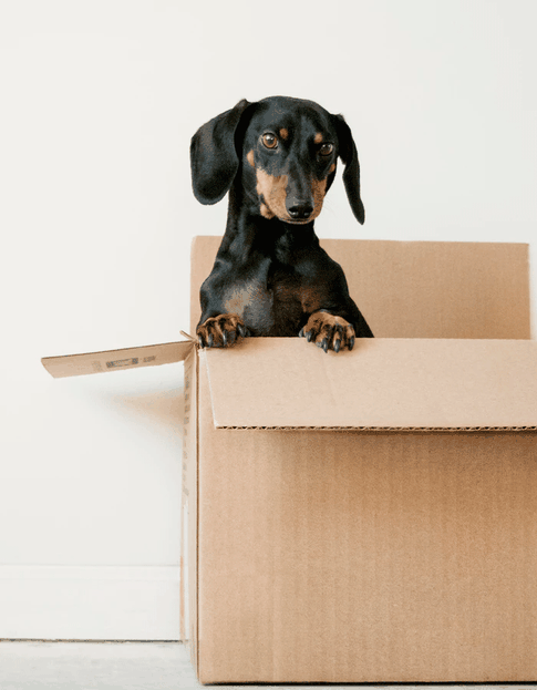 В новую жизнь: как правильно переехать