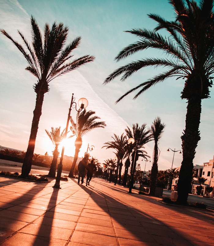 Тунис сочетает в себе комфортный средиземноморский климат и жаркое дыхание пустыни