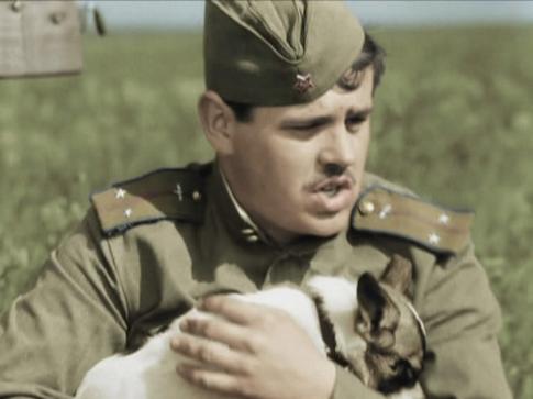 Не стало звезды фильма «В бой идут одни старики»