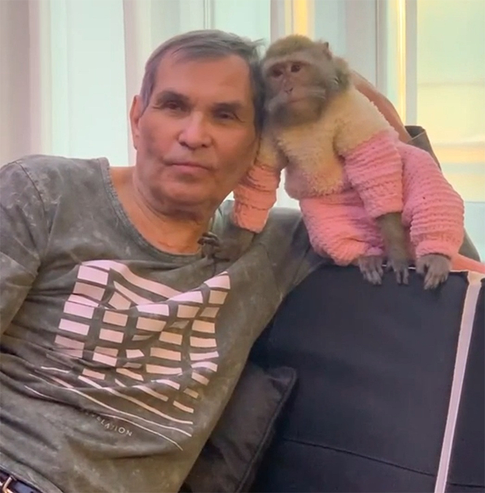 Пиар-директор Алибасова: «Обезьяна перемешала его лекарства в таблетнице»