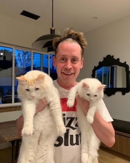 Калкин высказался про обвинения Майкла Джексона в педофилии