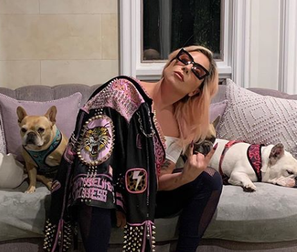 Ясновидящая о Леди Гаге: «Свою судьбу она еще не встретила»