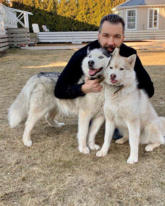 У Дениса есть домашние животные, которые могут гулять во дворе большого дома