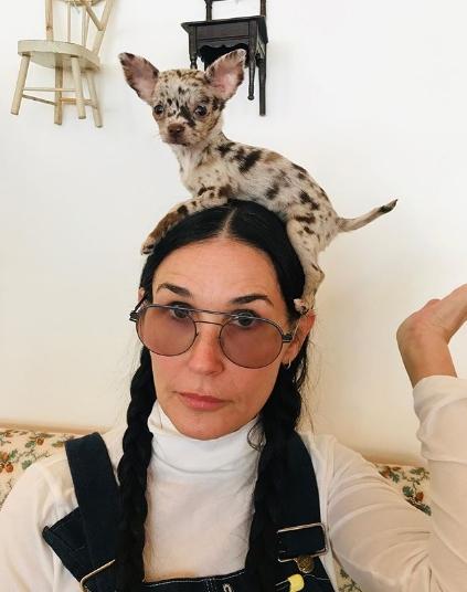 Деми Мур веселится с Брюсом Уиллисом на карантине