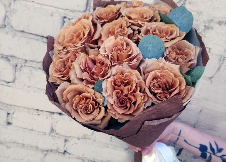 Розы сорта Тоффи