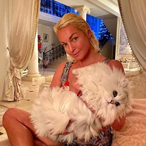 Волочкова готова оплатить лечение «любовника» в психбольнице