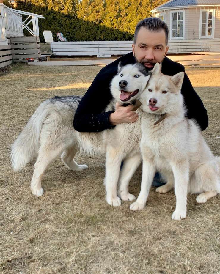 В семье артиста живут чудесные хаски