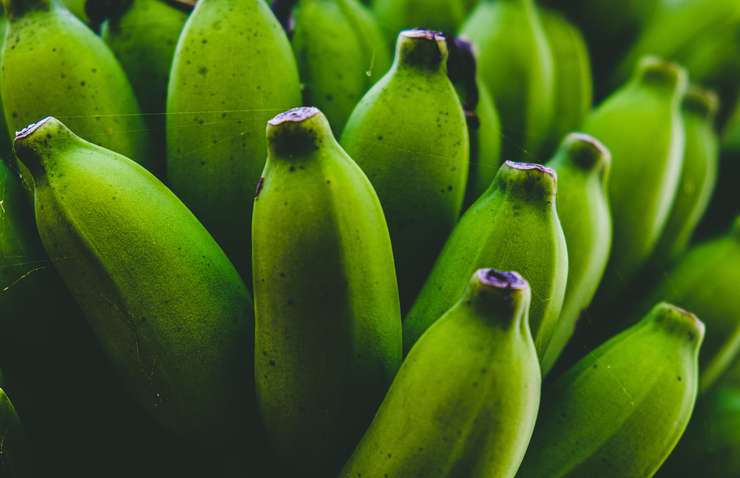 В зелёных бананах много резистентного крахмала