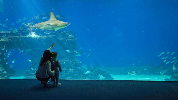 проводите больше времени вместе