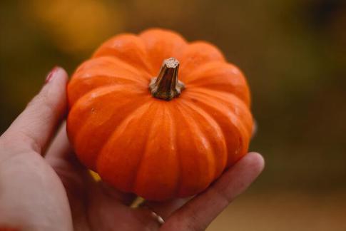 Тыква — всему голова: готовим 4 необычных и полезных десерта