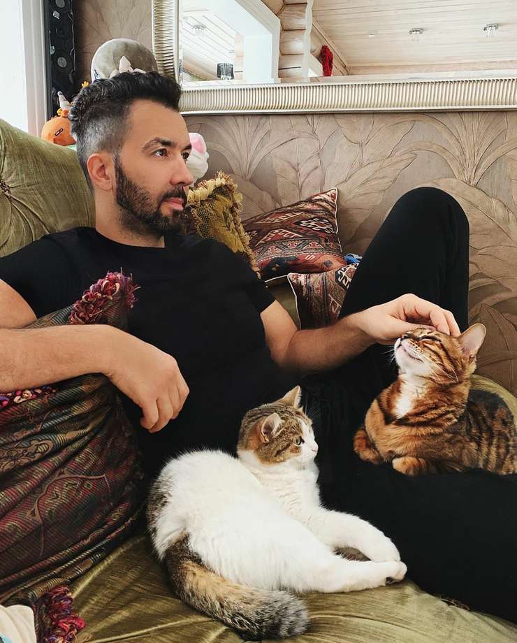 ... и роскошные кот и кошка