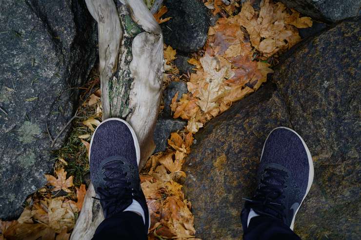 Кардио тренировки должны стать частью вашего расписания Кардио тренировки должны стать частью вашего расписания