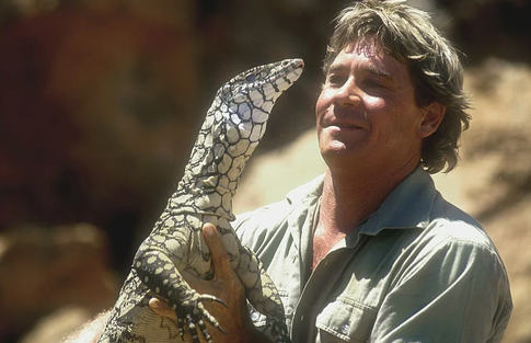 Съемки требуют жертв: артисты, которые пострадали от укусов экзотических животных