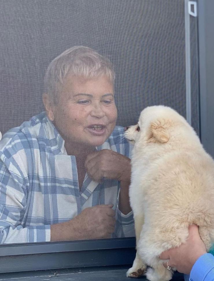 Дана Борисова привезла маме для поднятия настроения любимую собаку