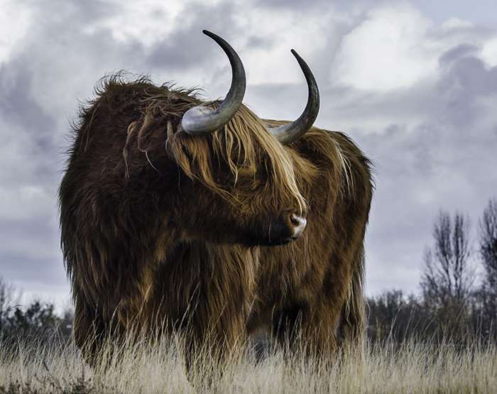 Каким знакам Зодиака придется сложнее всего в конце 2021 года?