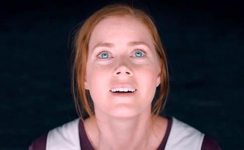 Это вообще не о том: фильмы, которые зрители поняли совершенно не так