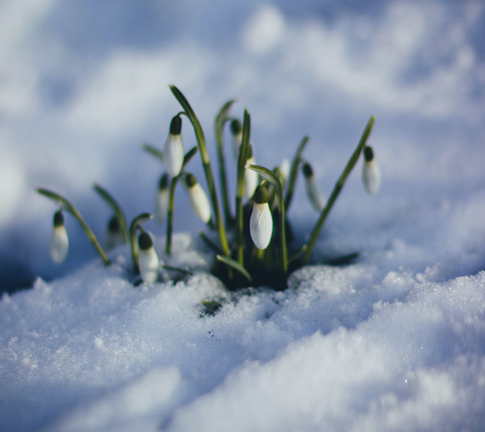 Предвкушение чуда: гороскоп на март 2021 года