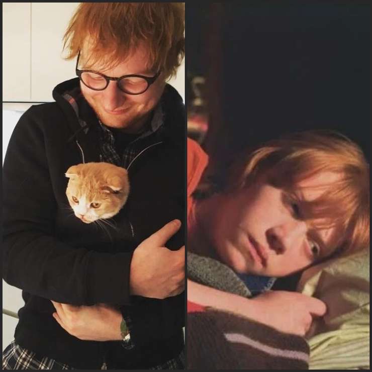 Эд Ширан и Руперт Гринт Эд Ширан и Руперт Гринт