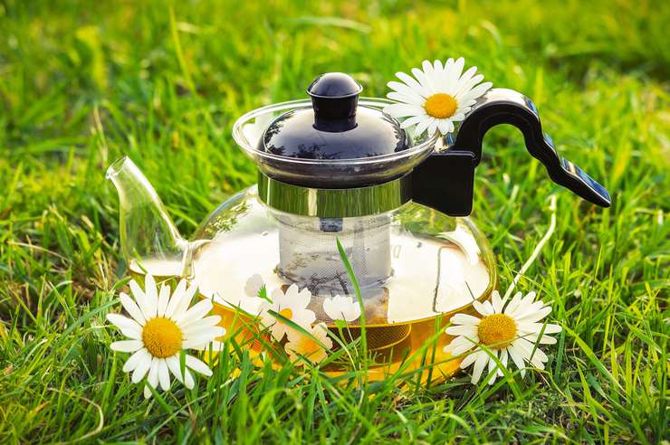 От вздутия живота заваривайте цветки ромашки в фильтр-пакетах вместо чая