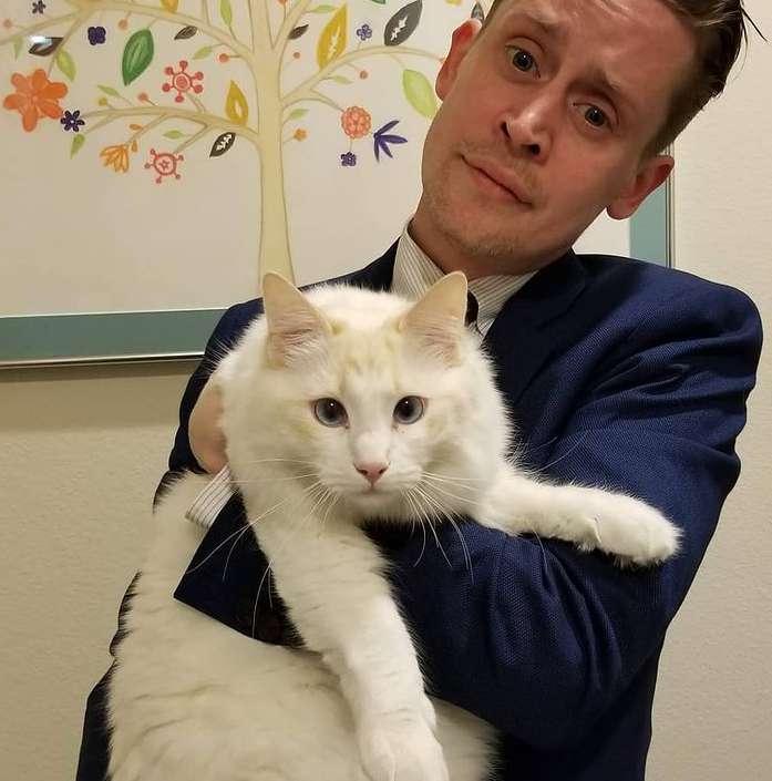 Маколей Калкин