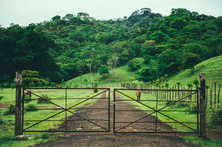 джунгли Панамы не так уж безобидны