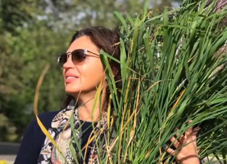 Алиса реализует талант дачницы в черте города