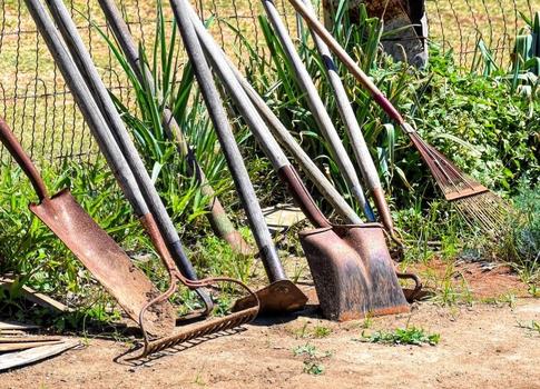 Приводим в порядок садовый инструмент