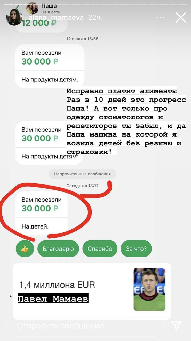 Павел Мамаев раз в десять дней отправляет экс-супруге сумму в размере 30 тысяч рублей
