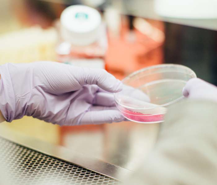 Чего ждать от новой волны пандемии COVID-19?