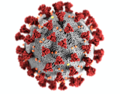 Впервые с конца октября в Москве за сутки выявили более 7 тыс. новых случаев COVID−19
