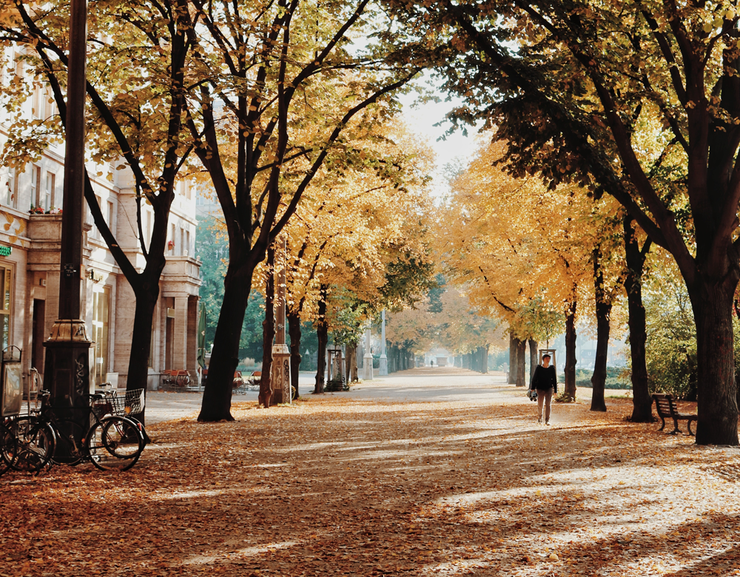 Гороскоп настоятельно рекомендует Ракам уделить внимание своему здоровью