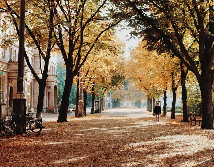 Гороскоп настоятельно рекомендует Ракам уделить внимание своему здоровью