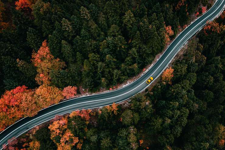 Девам лучше воздержаться от дальних поездок