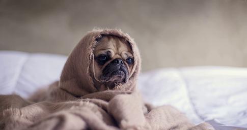 Фобии, которые часто приводят к смерти