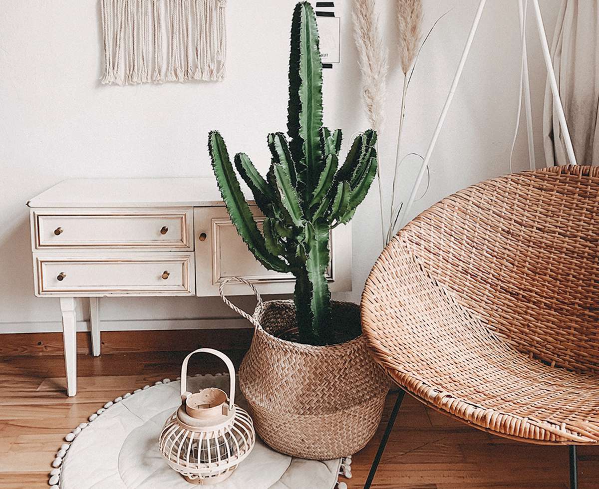 Создаем интерьер в экостиле