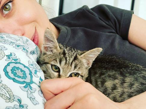 Чиповская, Лазарев и другие артисты признались в любви к своим питомцам