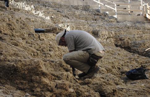 Археологи обнаружили останки 15 века
